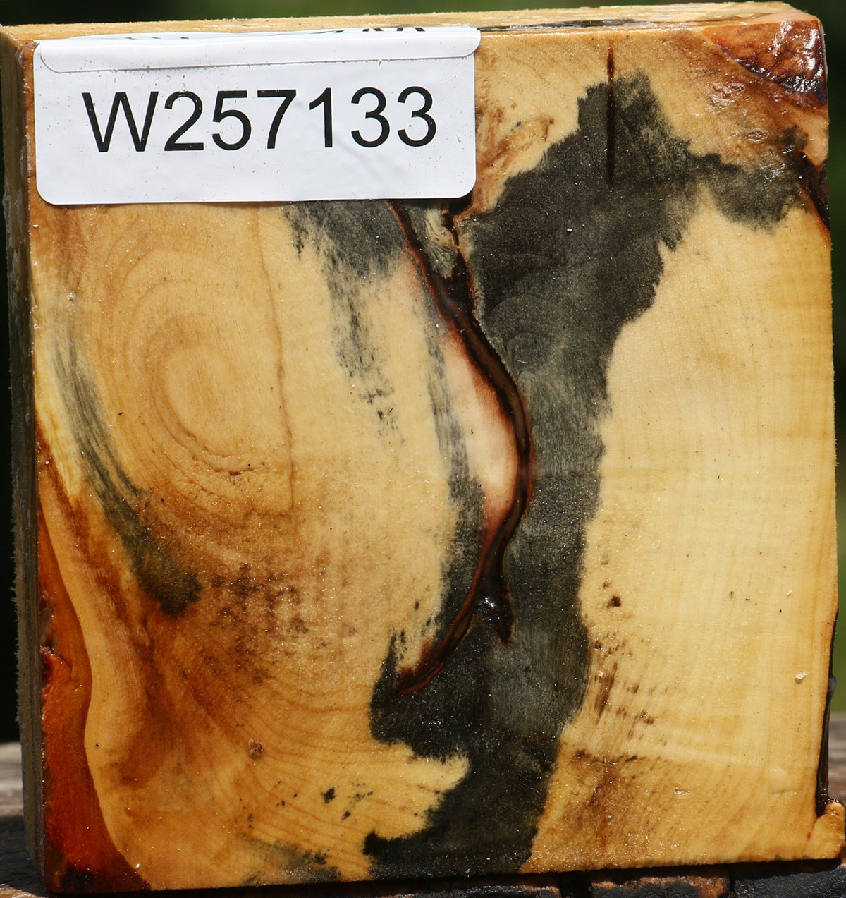 Buckeye Burl Bowl Blank