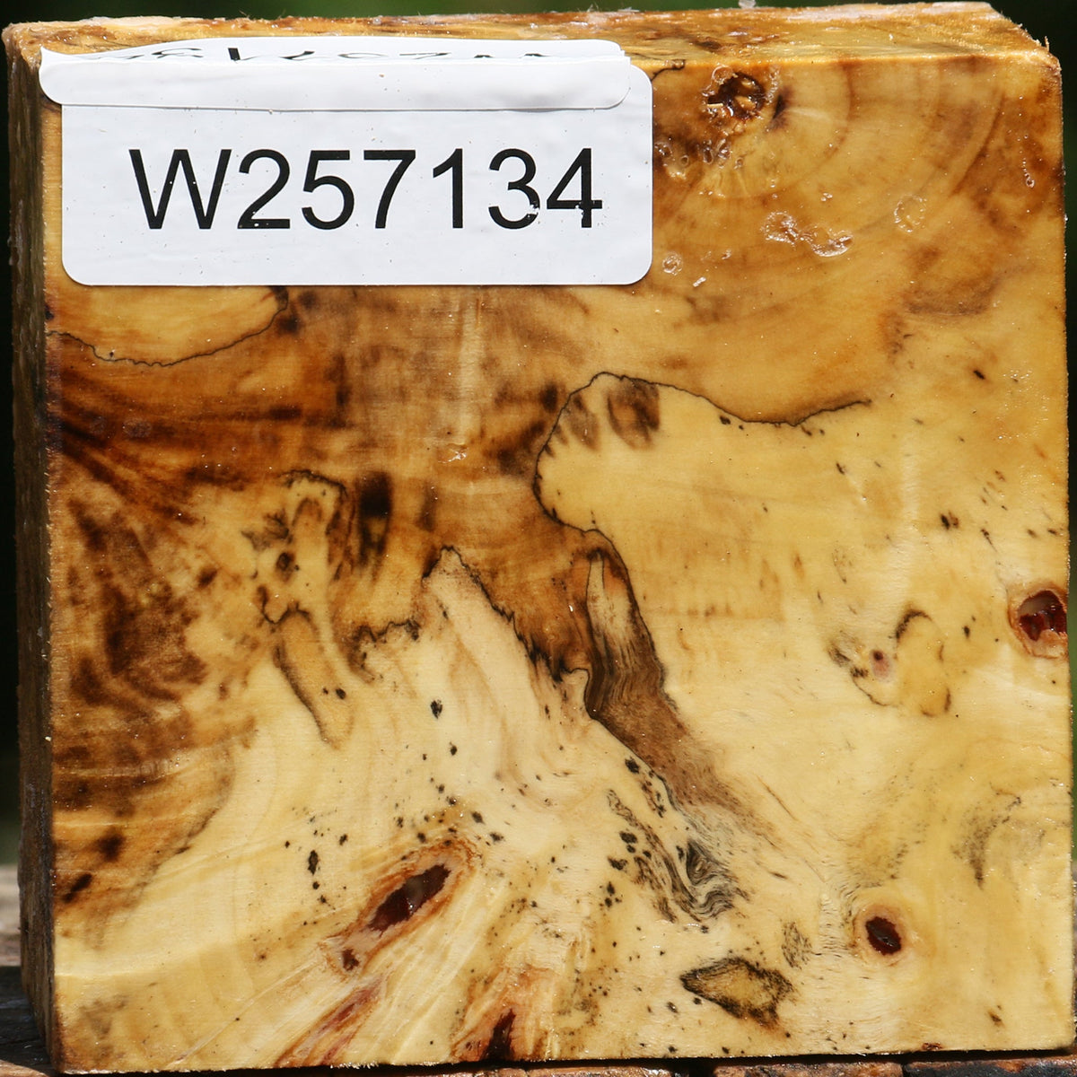 Buckeye Burl Bowl Blank