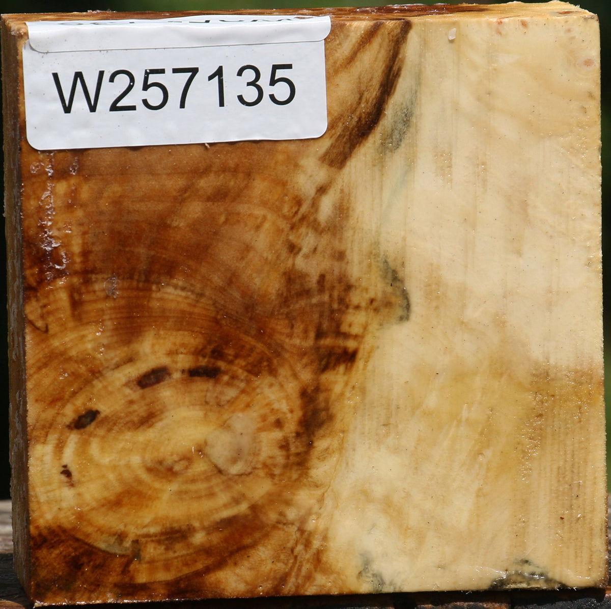 Buckeye Burl Bowl Blank