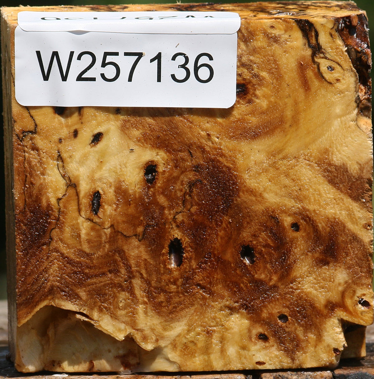 Buckeye Burl Bowl Blank