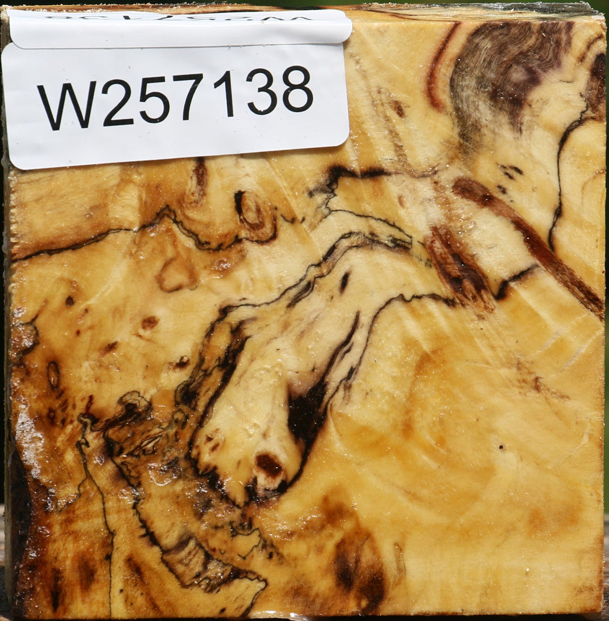 Buckeye Burl Bowl Blank