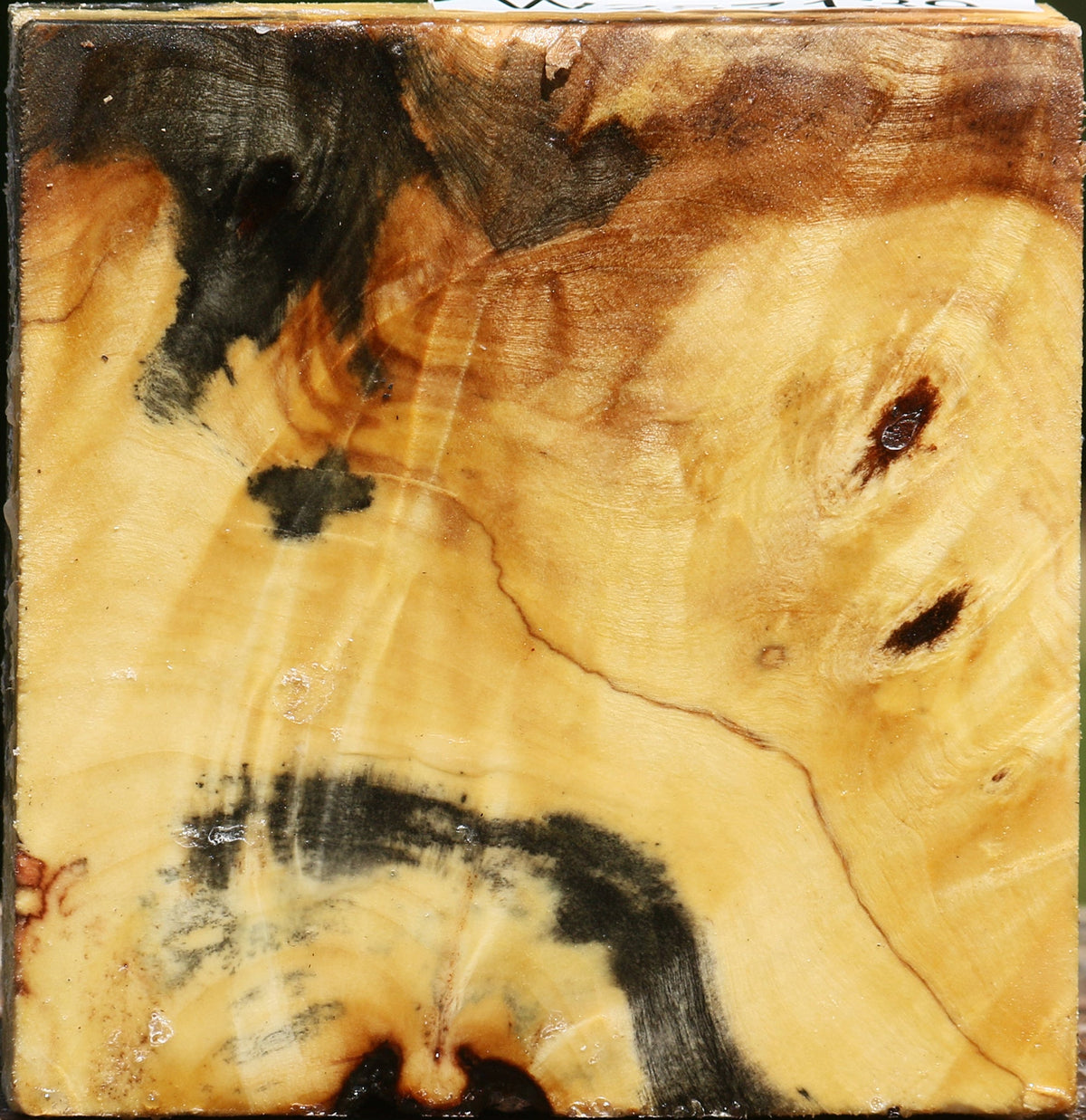 Buckeye Burl Bowl Blank