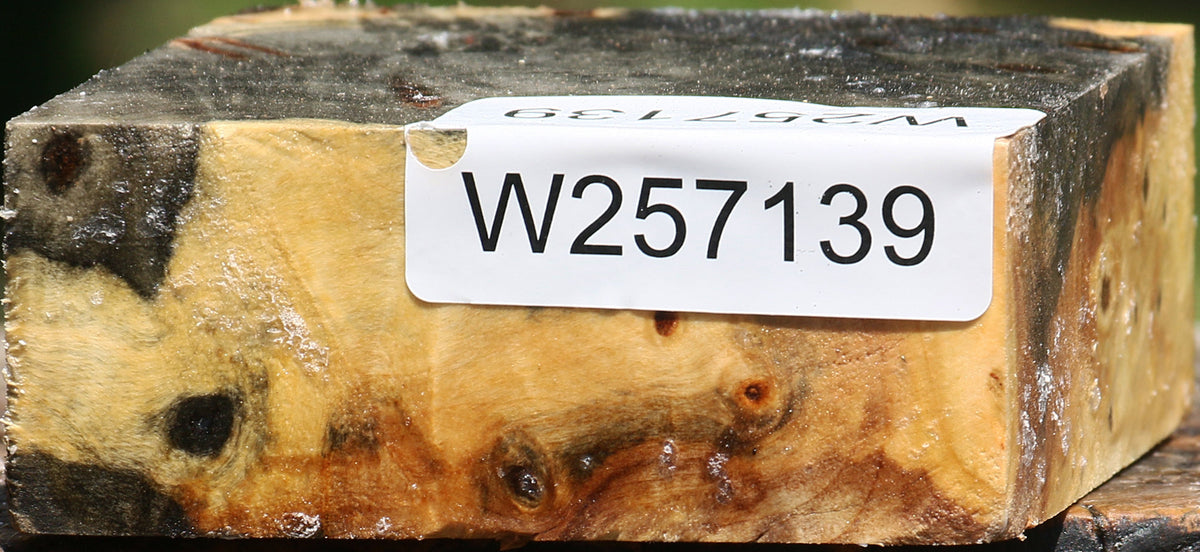 Buckeye Burl Bowl Blank