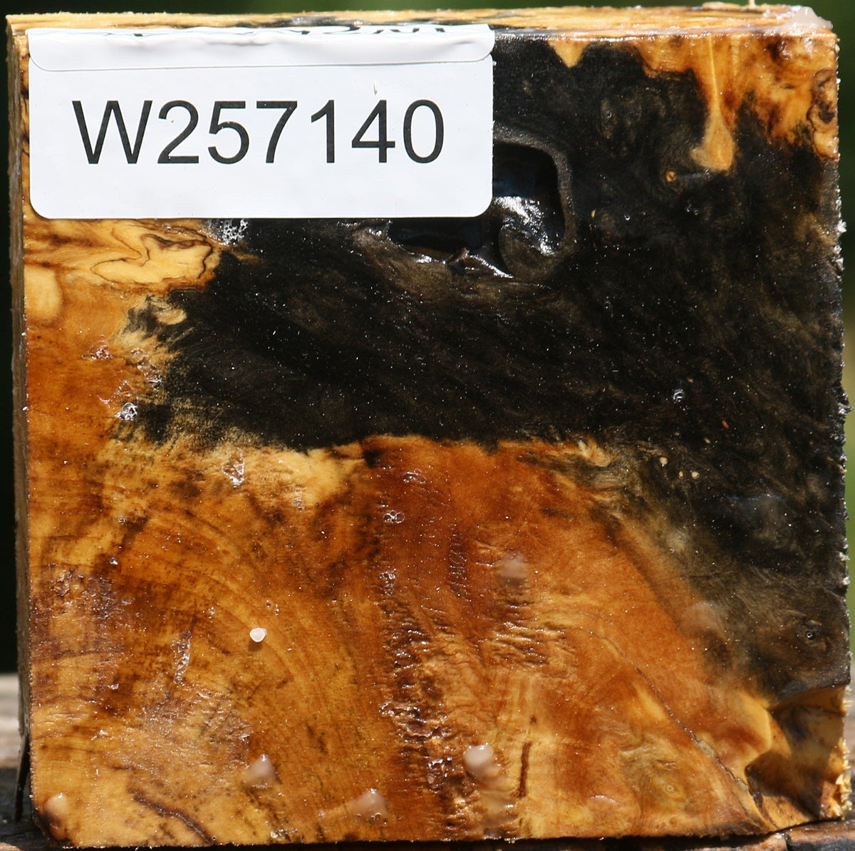 Buckeye Burl Bowl Blank