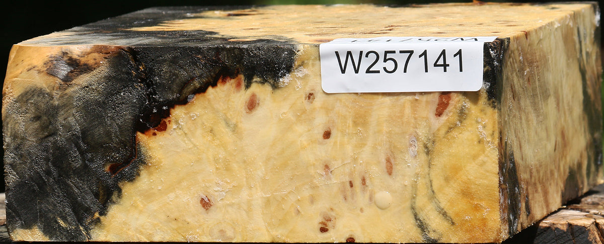 Buckeye Burl Bowl Blank