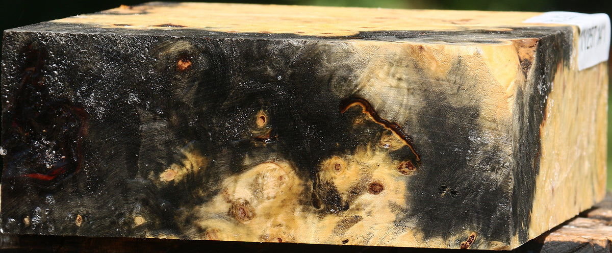 Buckeye Burl Bowl Blank