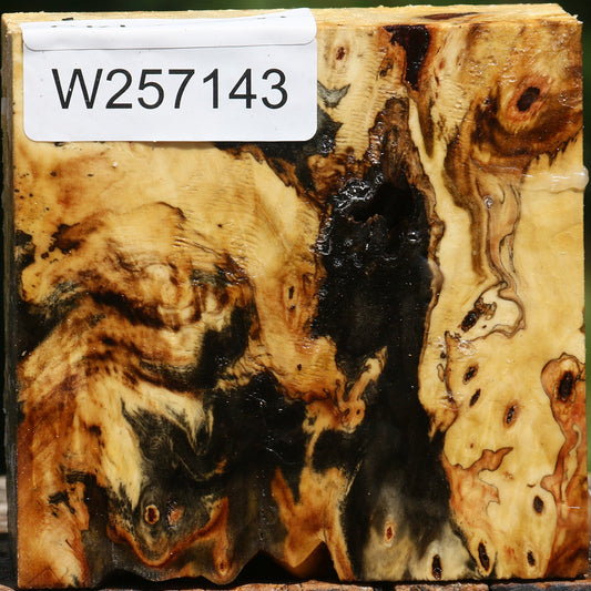 Buckeye Burl Bowl Blank