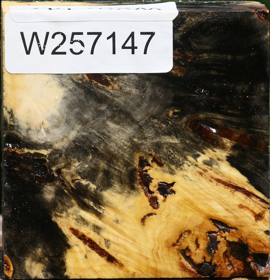 Buckeye Burl Bowl Blank