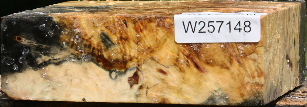 Buckeye Burl Bowl Blank