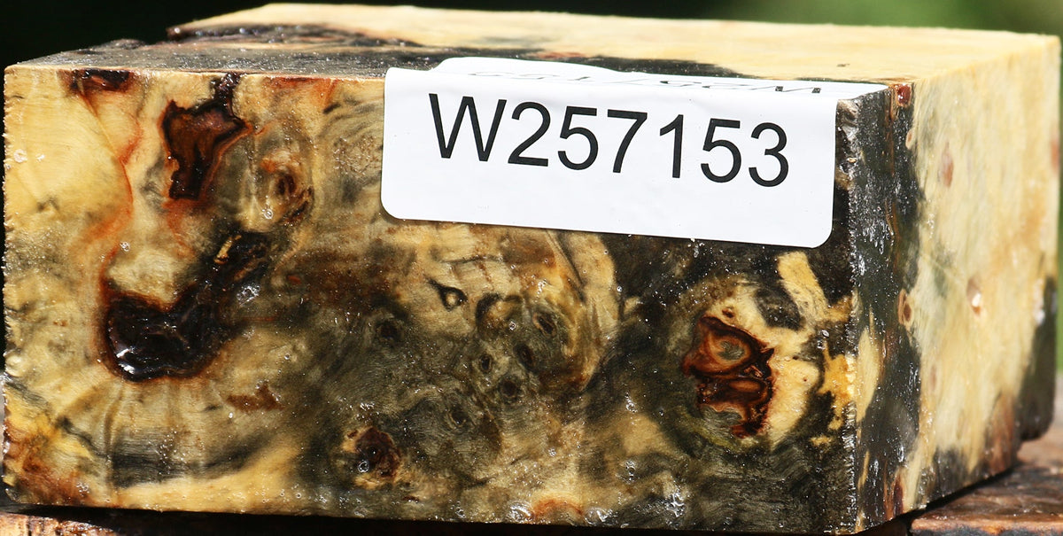 Buckeye Burl Bowl Blank