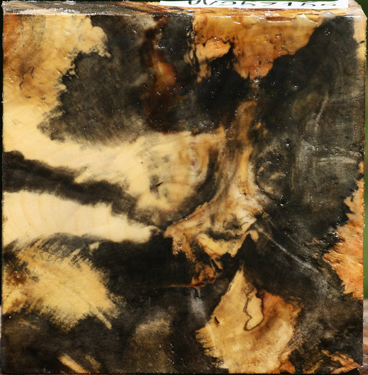 Buckeye Burl Bowl Blank