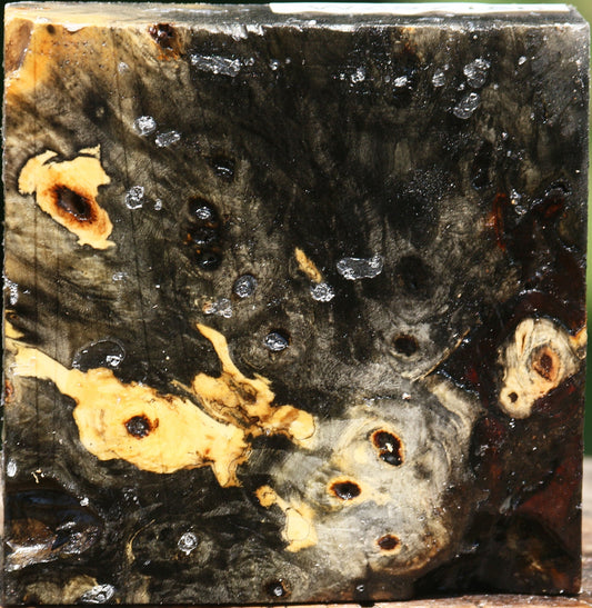 Buckeye Burl Bowl Blank