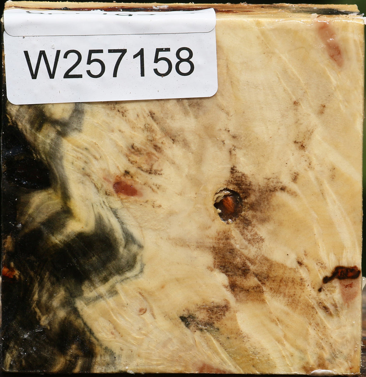 Buckeye Burl Bowl Blank