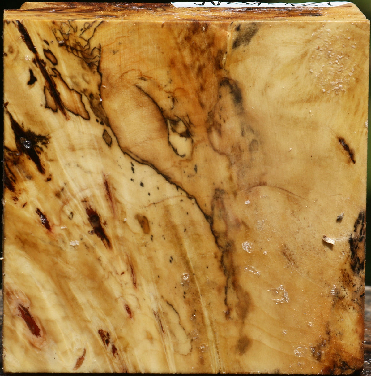Buckeye Burl Bowl Blank