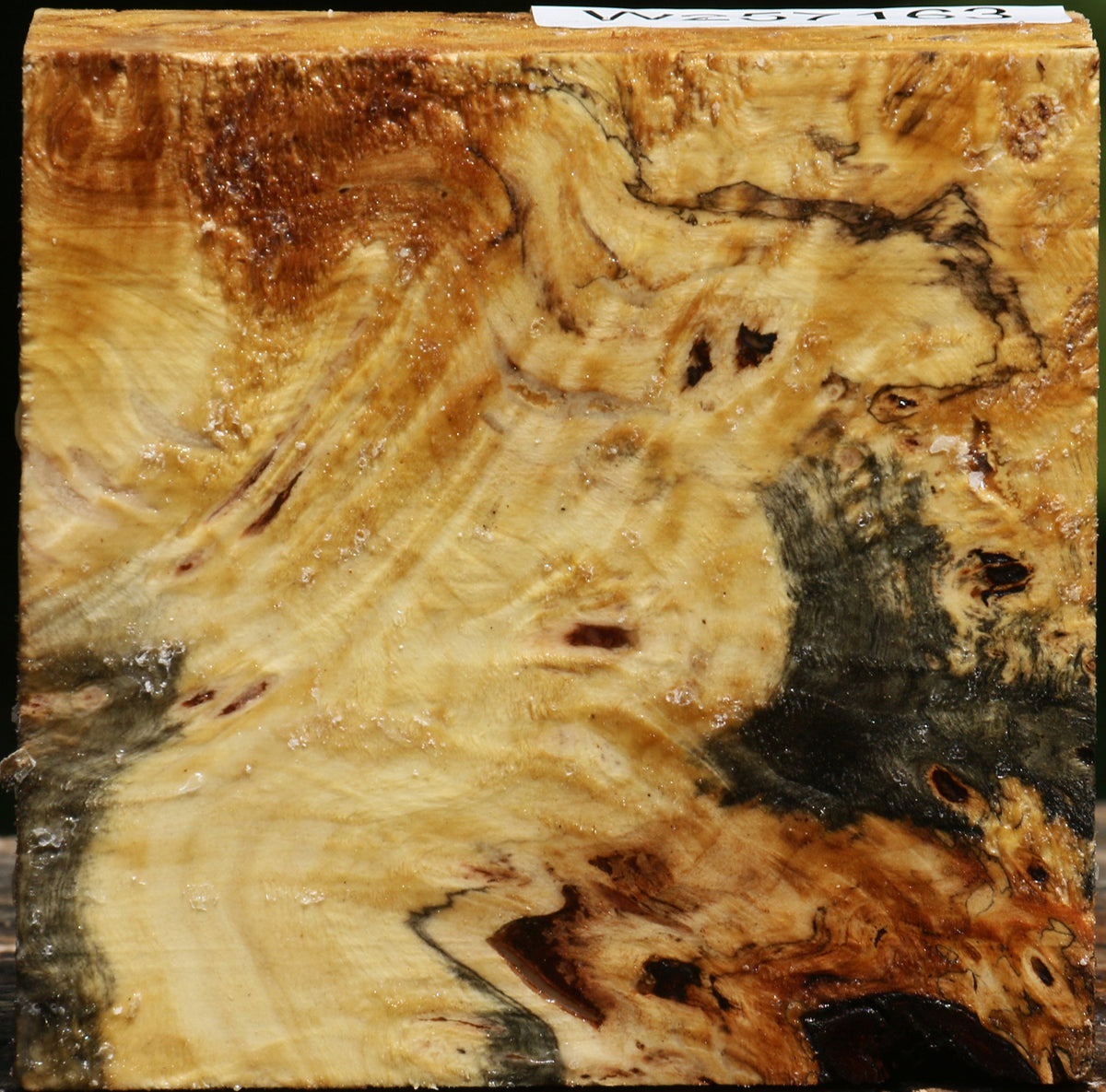 Buckeye Burl Bowl Blank