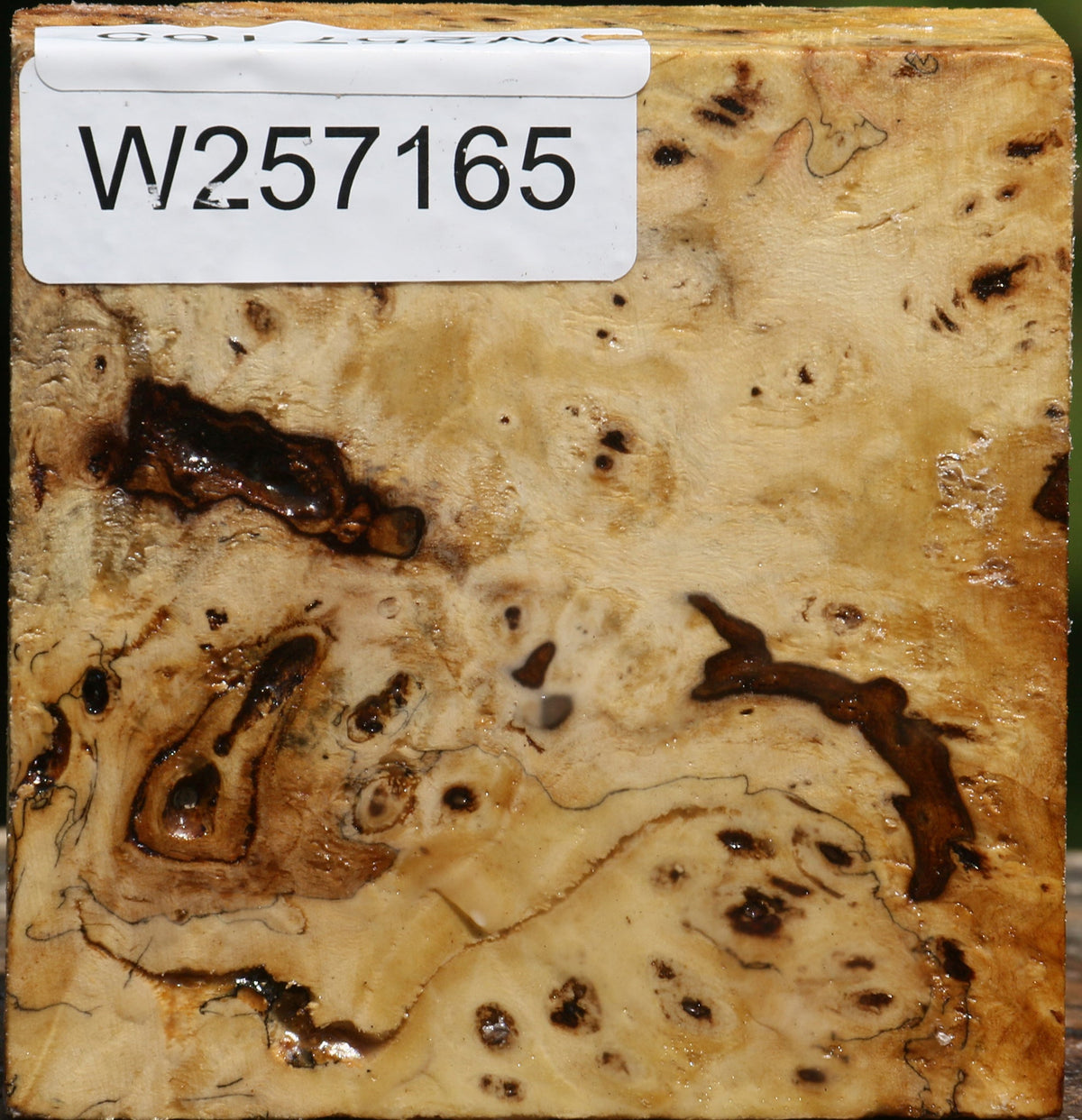Buckeye Burl Bowl Blank