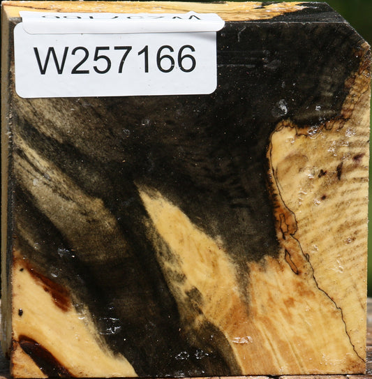 Buckeye Burl Bowl Blank
