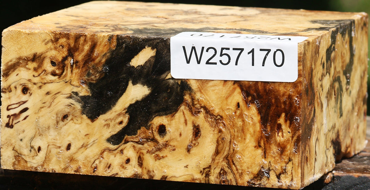 Buckeye Burl Bowl Blank