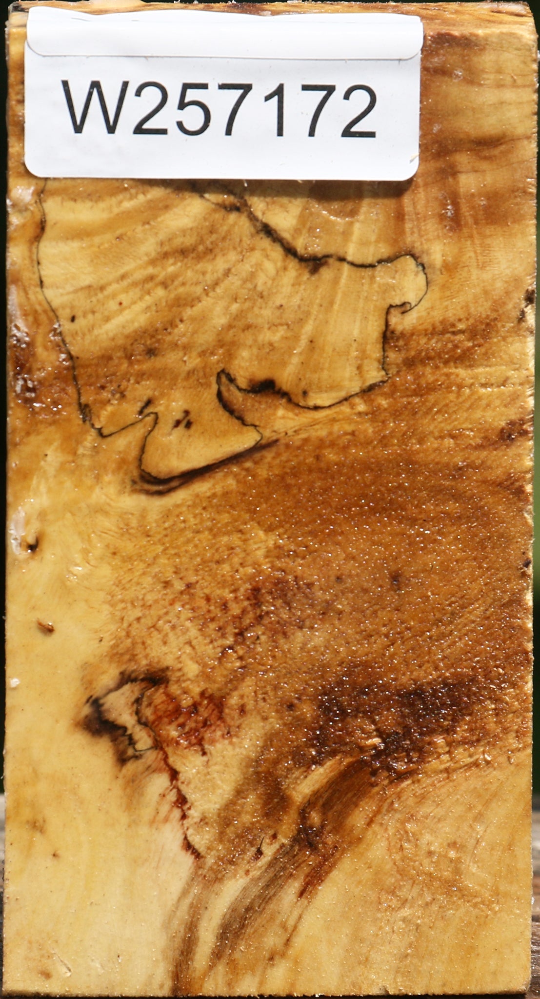 Buckeye Burl Turning Blank