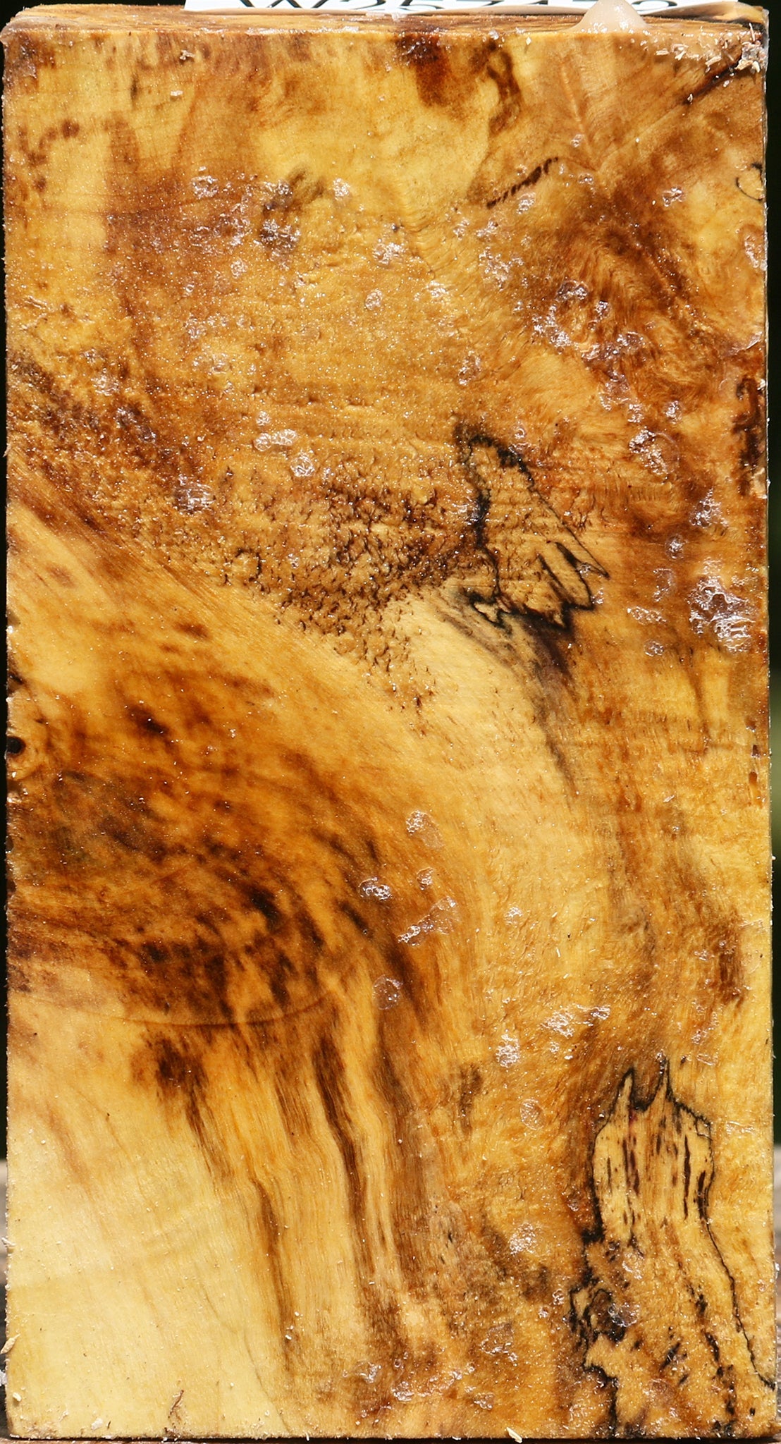 Buckeye Burl Turning Blank