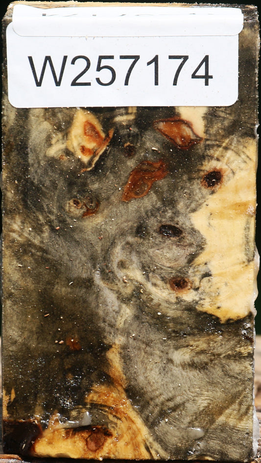 Buckeye Burl Turning Blank