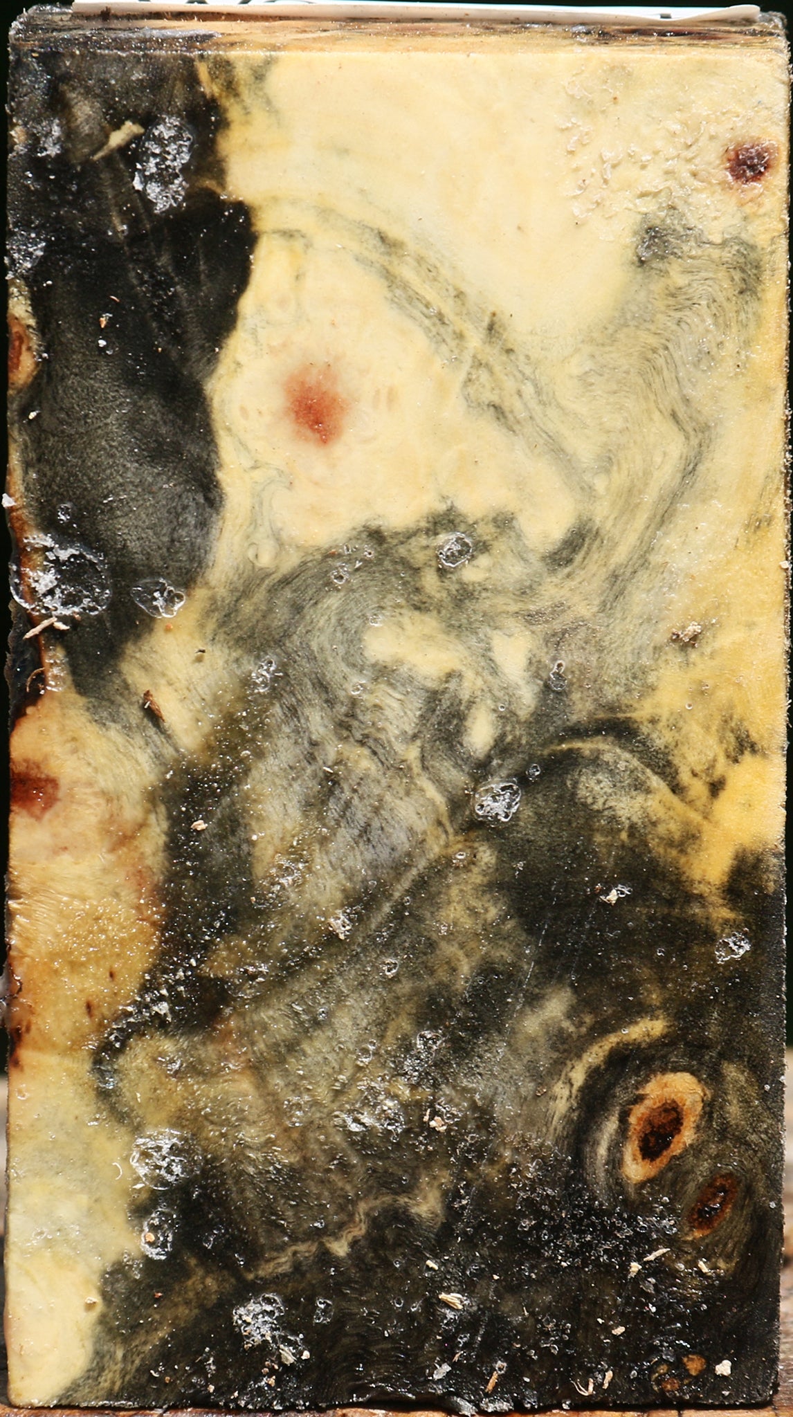 Buckeye Burl Turning Blank