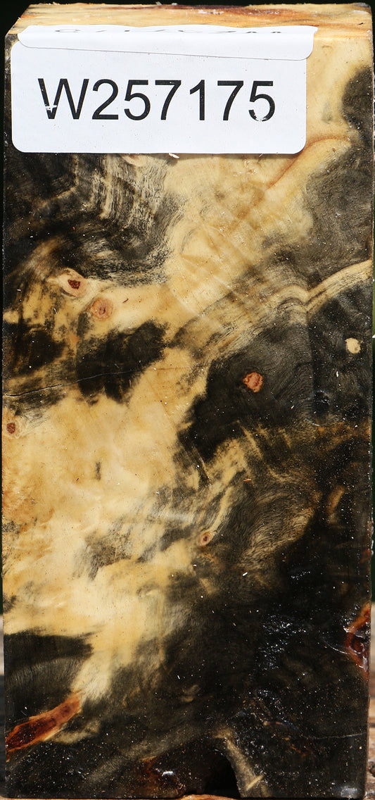 Buckeye Burl Turning Square