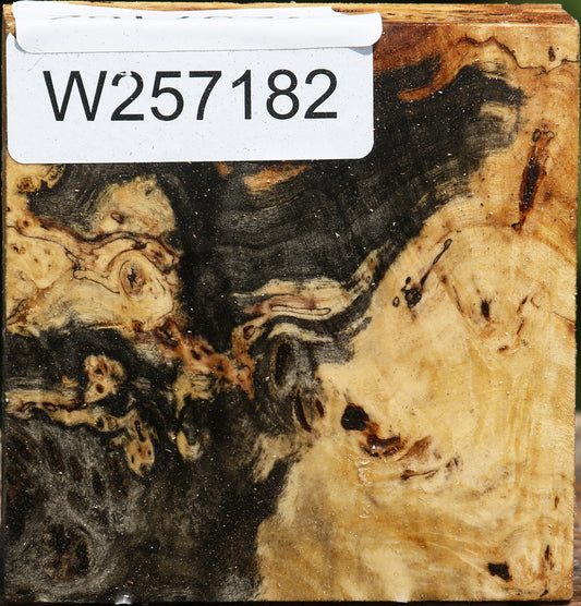 Buckeye Burl Bowl Blank