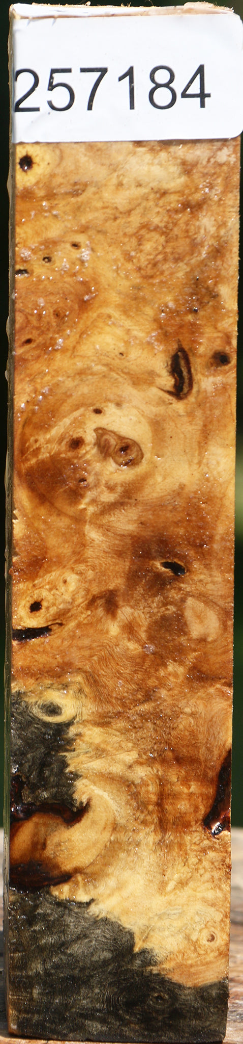 Buckeye Burl Turning Square