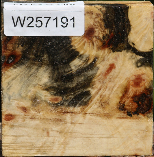 Buckeye Burl Bowl Blank