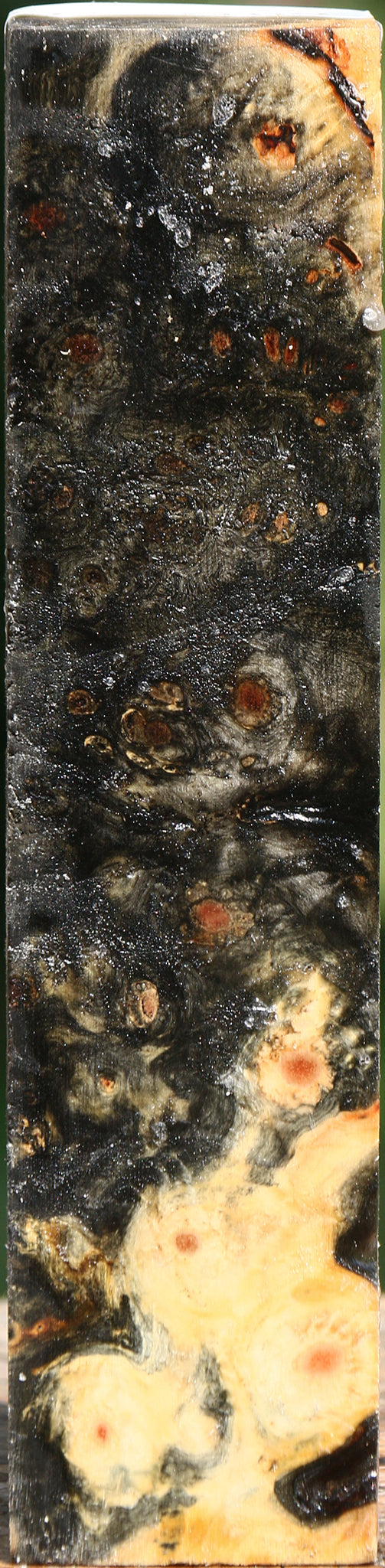 Buckeye Burl Turning Square