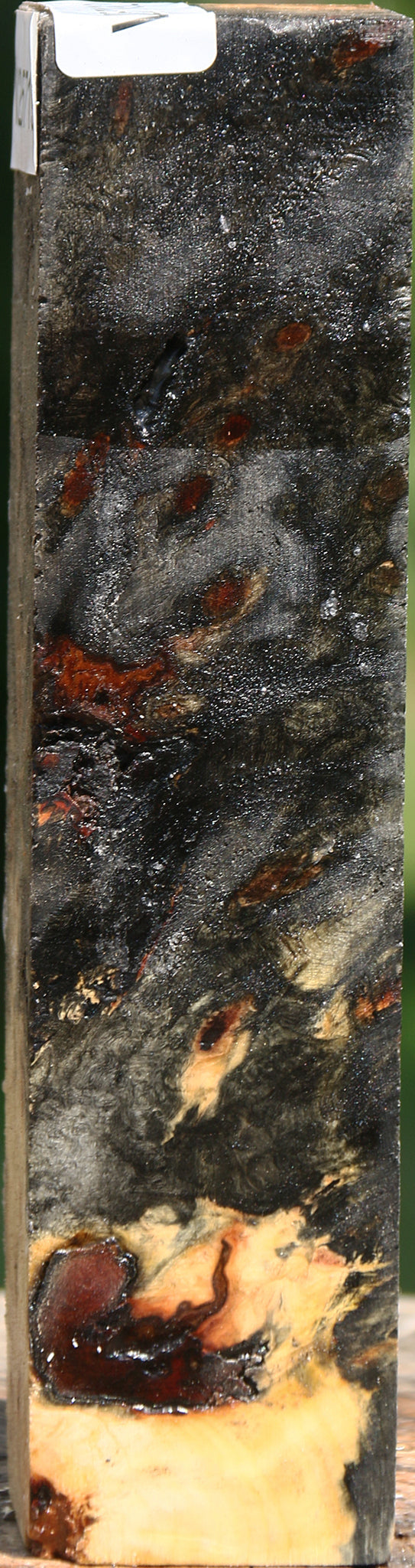 Buckeye Burl Turning Square