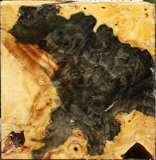 Buckeye Burl Bowl Blank