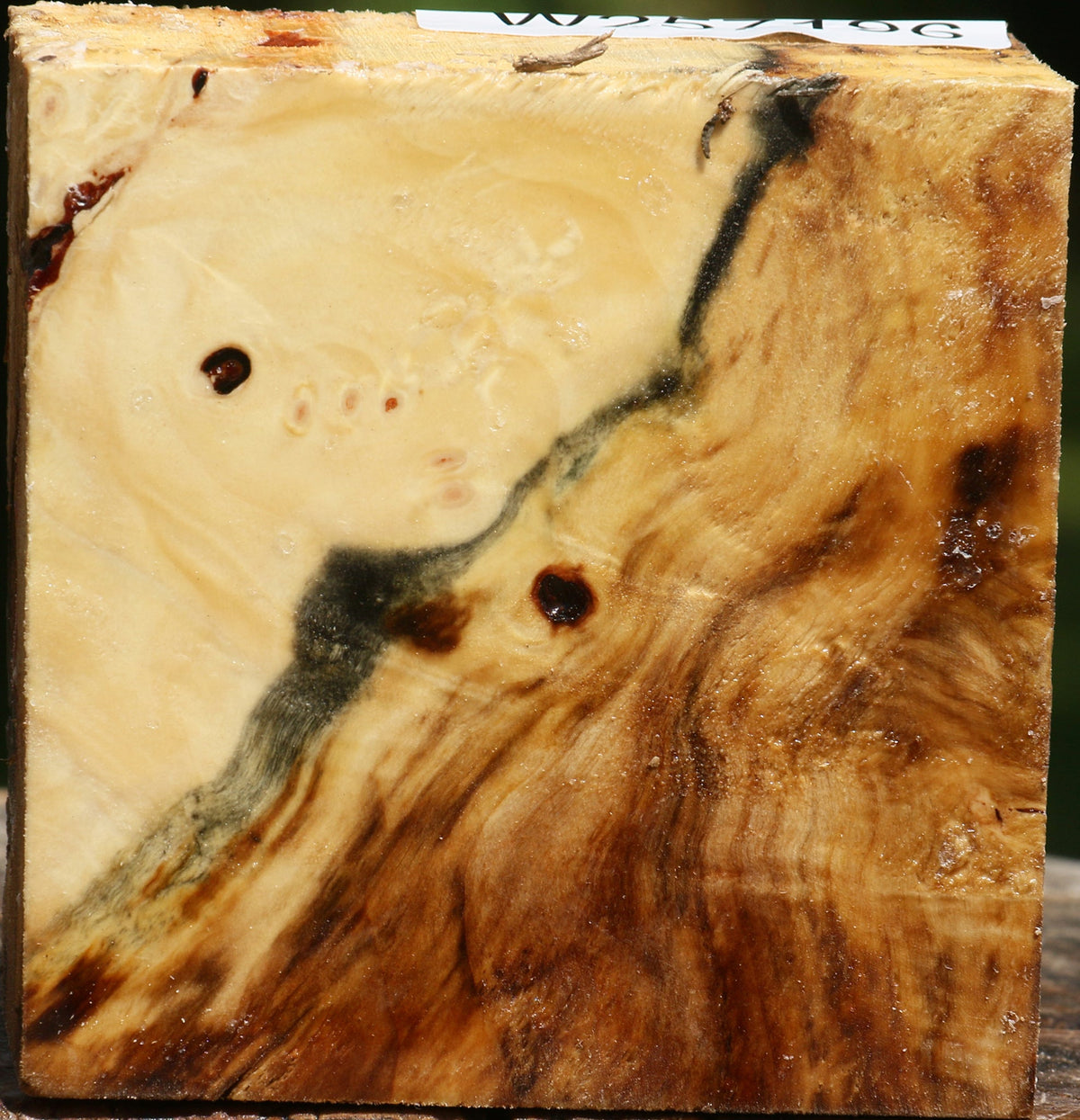 Buckeye Burl Bowl Blank