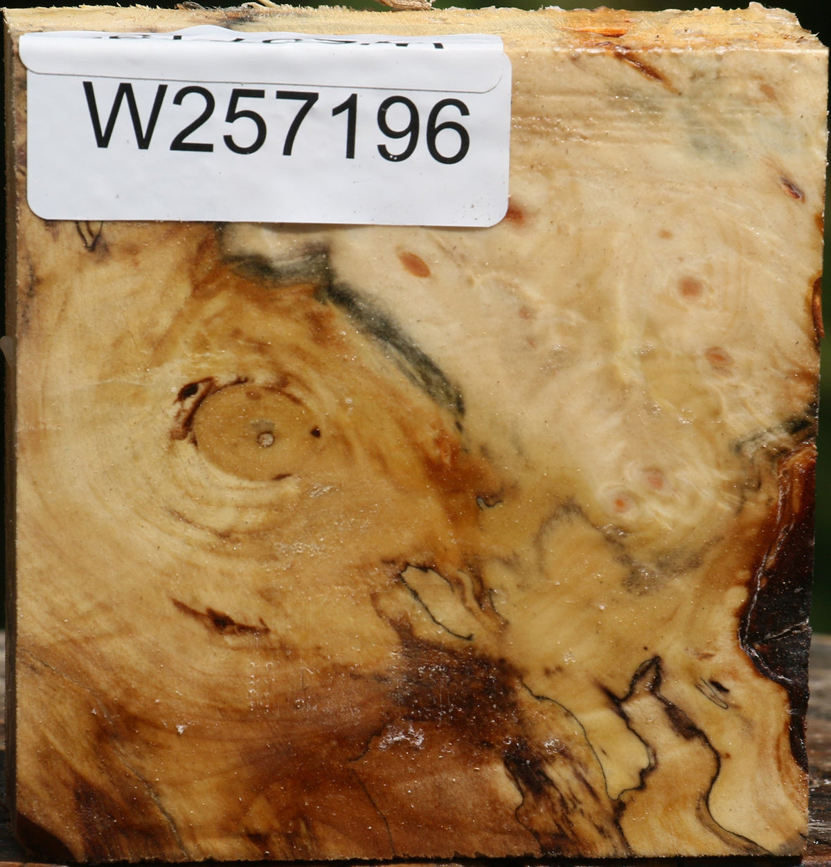 Buckeye Burl Bowl Blank