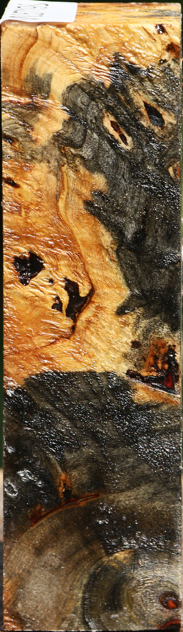 Buckeye Burl Turning Blank