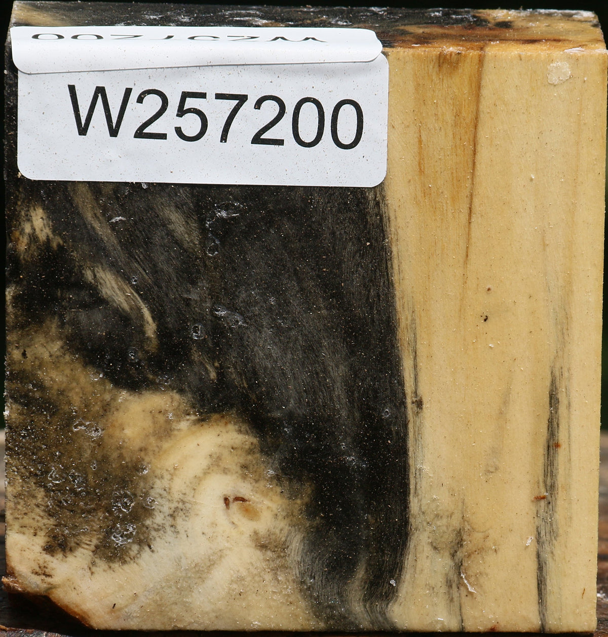Buckeye Burl Bowl Blank