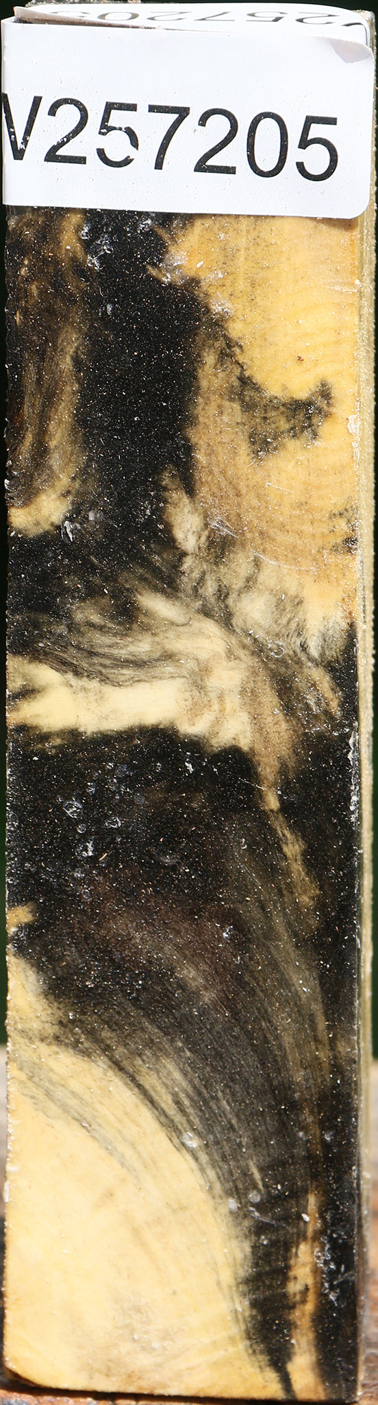 Buckeye Burl Turning Square