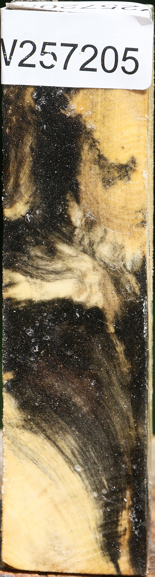 Buckeye Burl Turning Square
