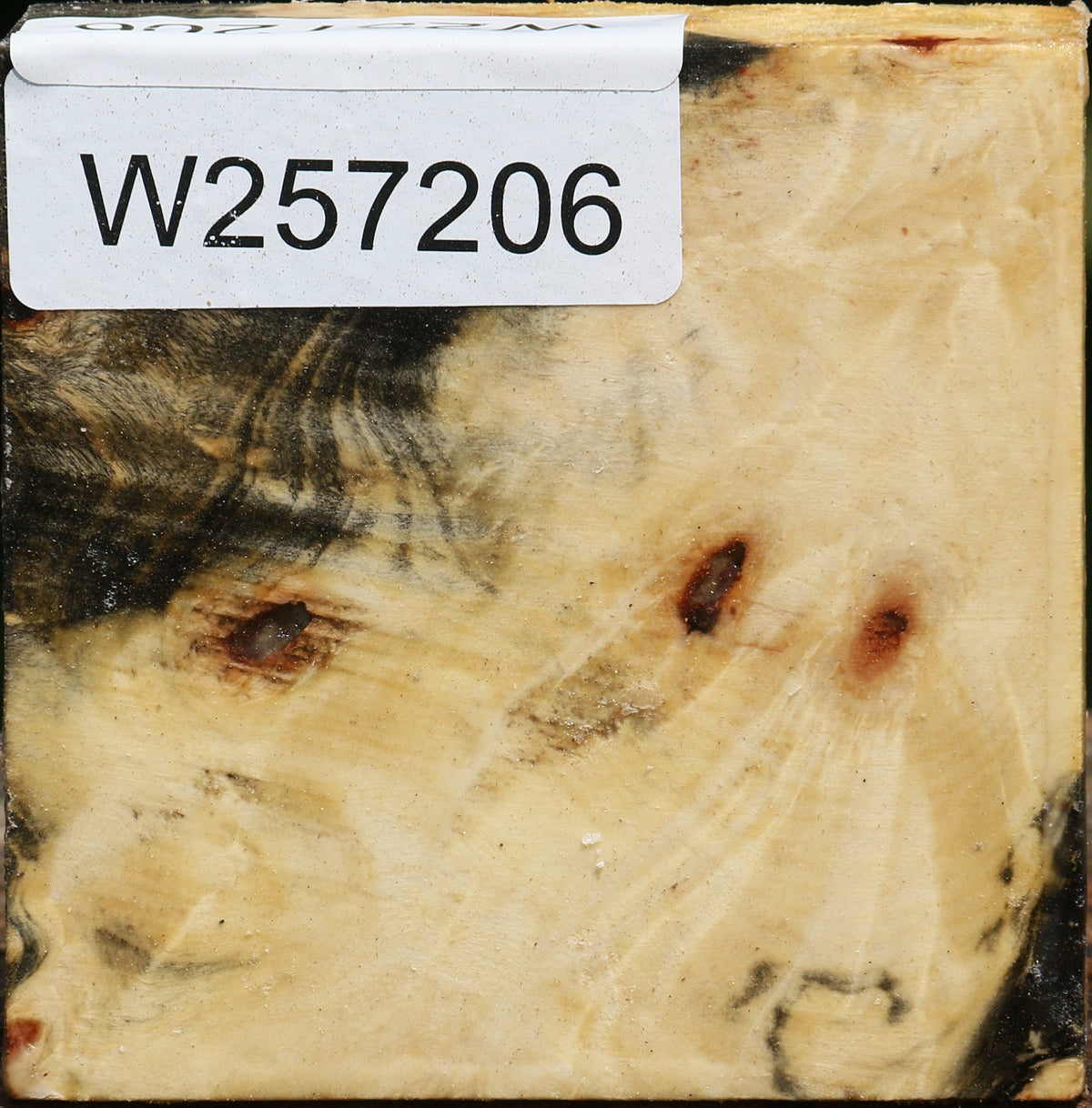 Buckeye Burl Bowl Blank