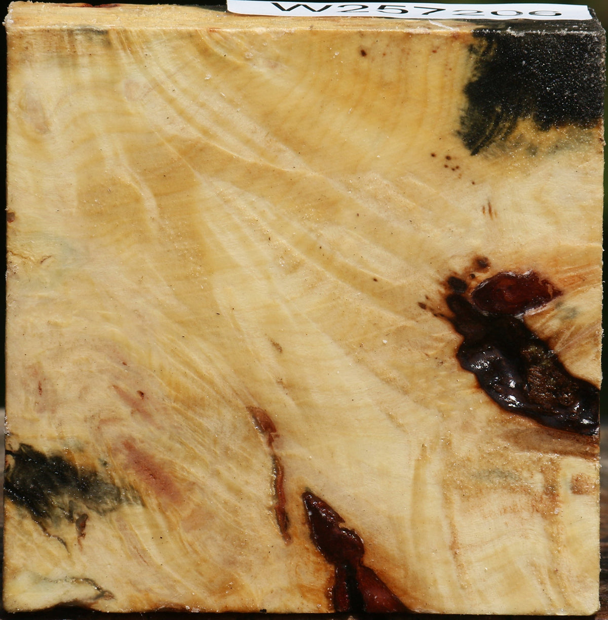 Buckeye Burl Bowl Blank