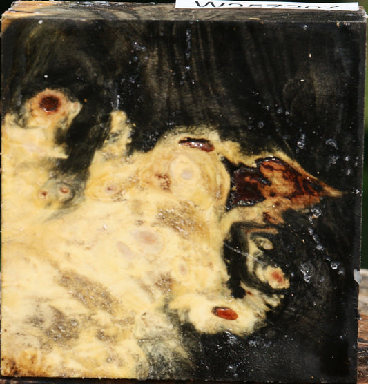 Buckeye Burl Bowl Blank