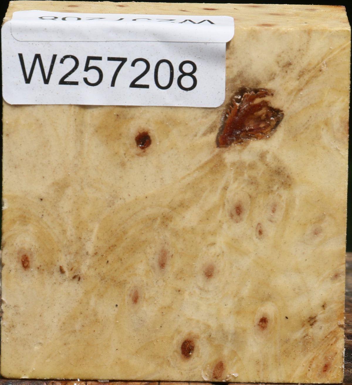 Buckeye Burl Bowl Blank