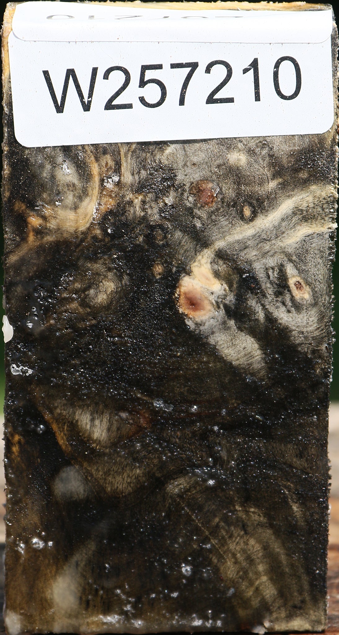 Buckeye Burl Lumber