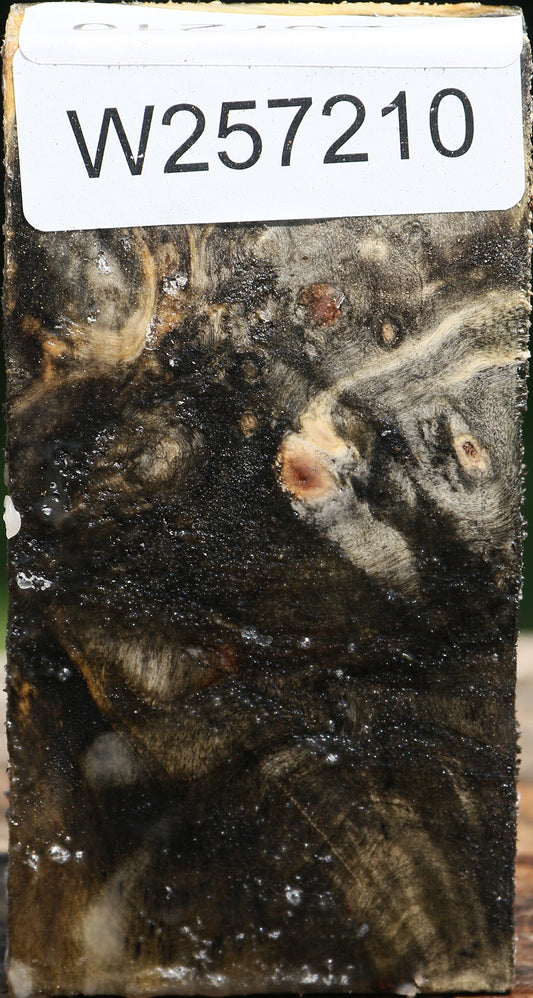 Buckeye Burl Lumber