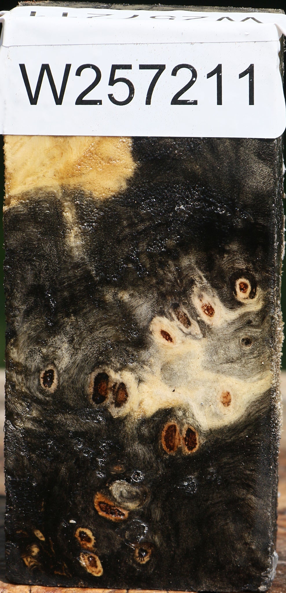 Buckeye Burl Lumber