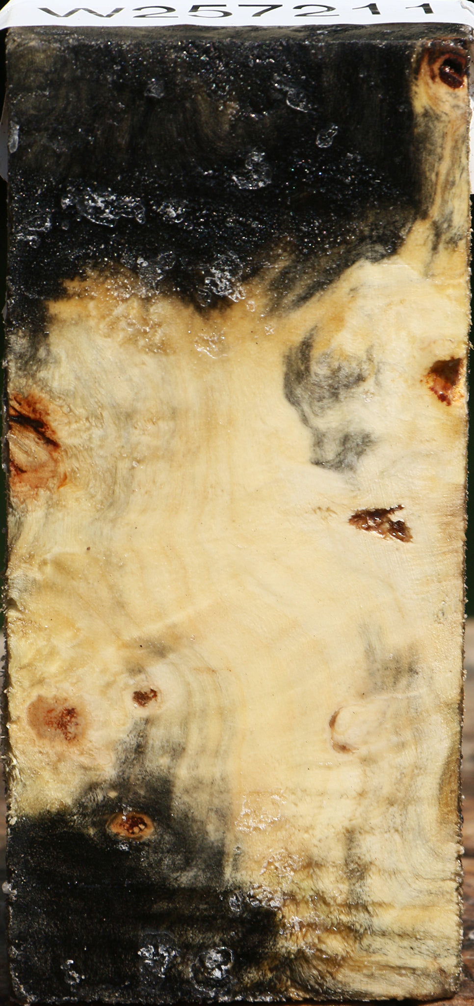 Buckeye Burl Lumber