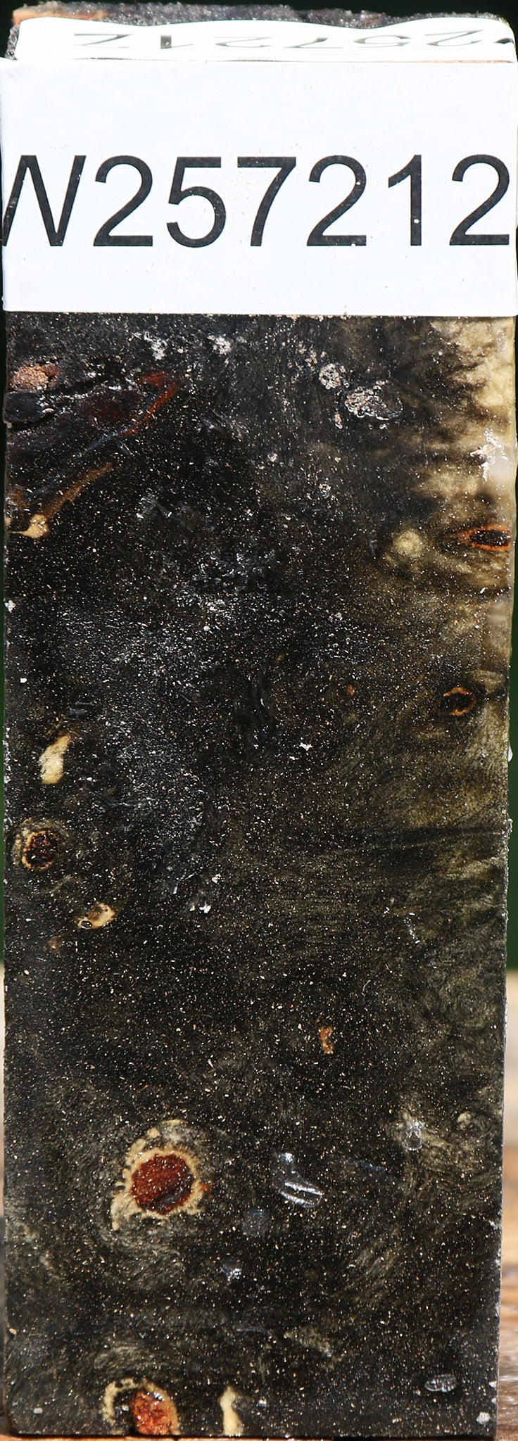 Buckeye Burl Turning Square