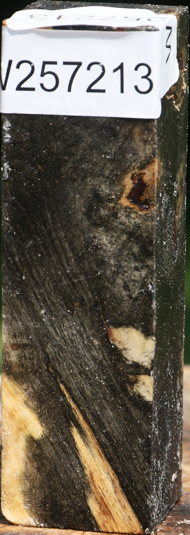 Buckeye Burl Turning Square