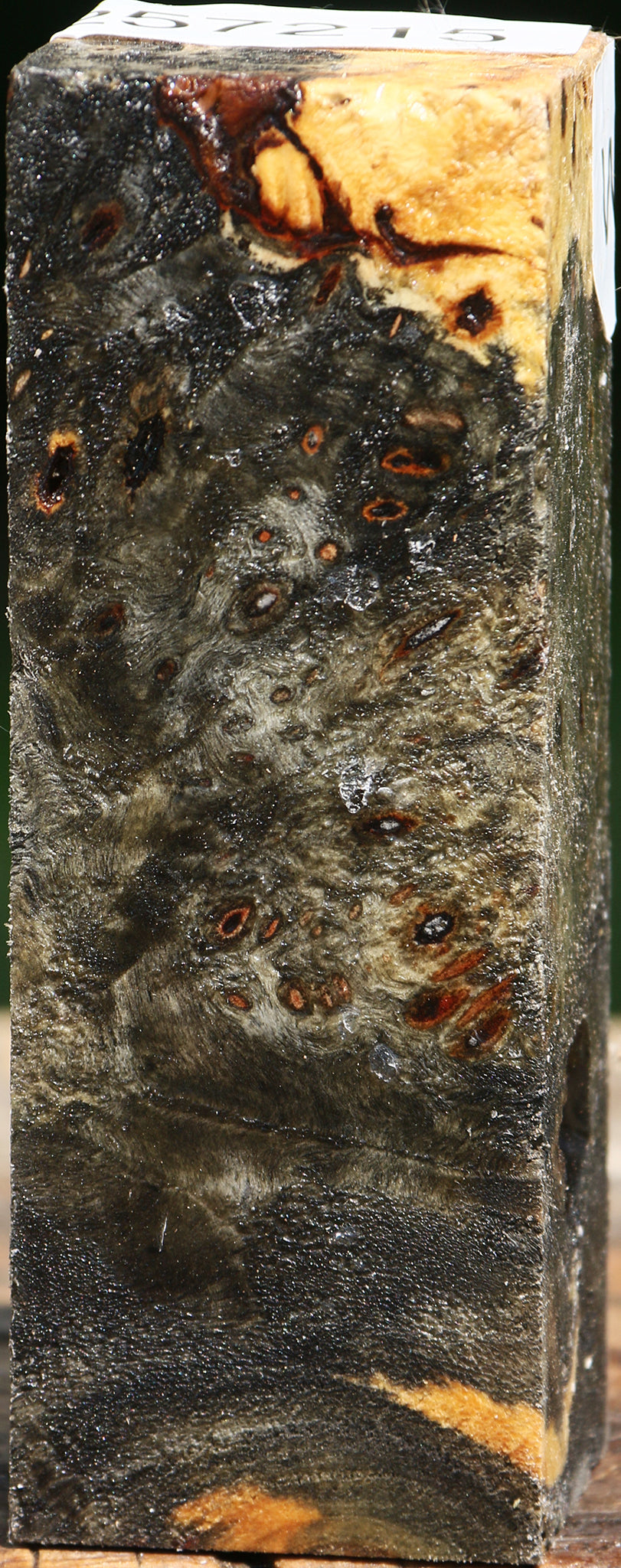 Buckeye Burl Turning Square